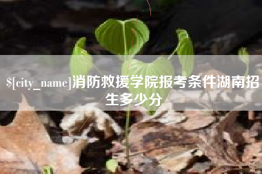 怒江消防救援学院报考条件湖南招生多少分
