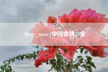 怒江中国金牌18金