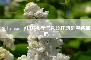 怒江中国执行信息公开网是黑名单吗