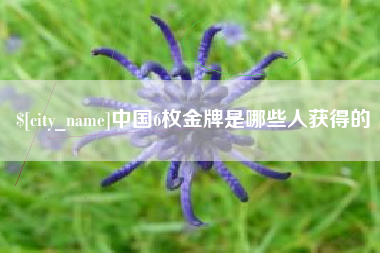 怒江中国6枚金牌是哪些人获得的
