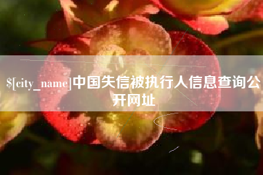 怒江中国失信被执行人信息查询公开网址