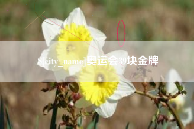 怒江奥运会39块金牌