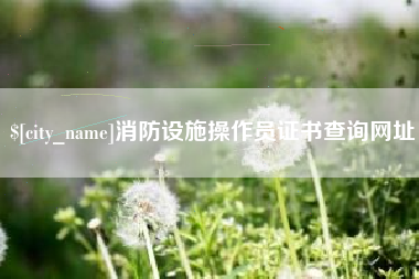 怒江消防设施操作员证书查询网址