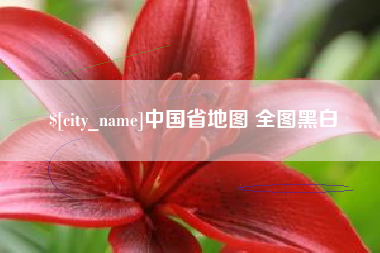怒江中国省地图 全图黑白