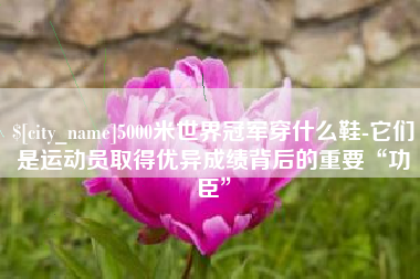 怒江5000米世界冠军穿什么鞋-它们是运动员取得优异成绩背后的重要“功臣”