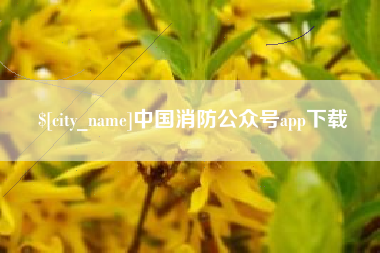 怒江中国消防公众号app下载