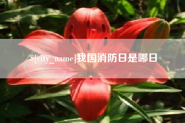 怒江我国消防日是哪日