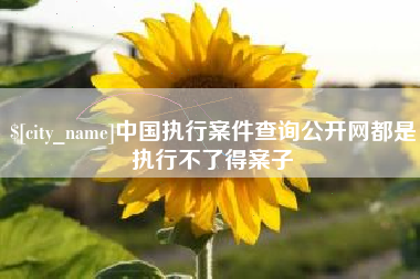 怒江中国执行案件查询公开网都是执行不了得案子