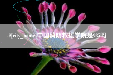 怒江中国消防救援学院是985吗