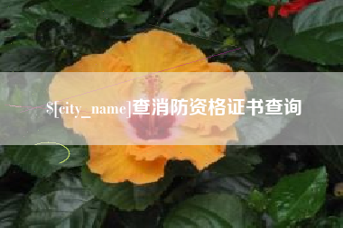 怒江查消防资格证书查询