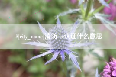 怒江消防ccc认证什么意思