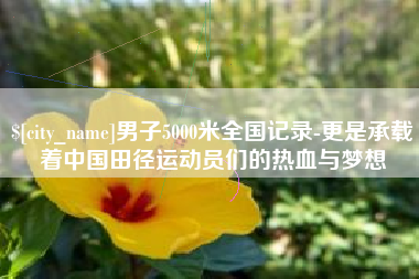 怒江男子5000米全国记录-更是承载着中国田径运动员们的热血与梦想