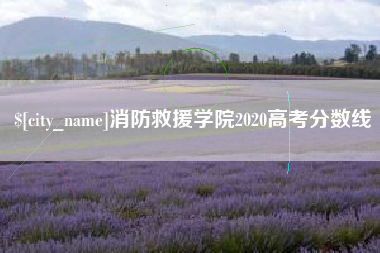 怒江消防救援学院2020高考分数线