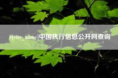 怒江中国执行信息公开网查询