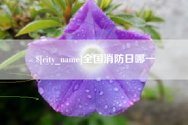 怒江全国消防日哪一
