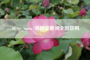 怒江消防证查询全国联网