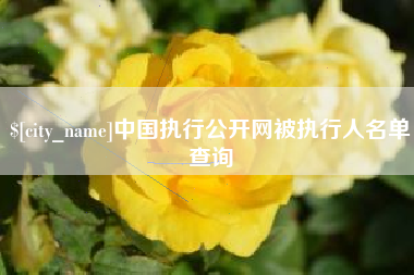 怒江中国执行公开网被执行人名单查询