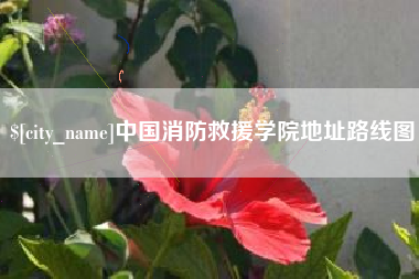 怒江中国消防救援学院地址路线图