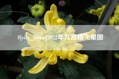 怒江2022年九宫格飞星图