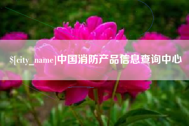 怒江中国消防产品信息查询中心