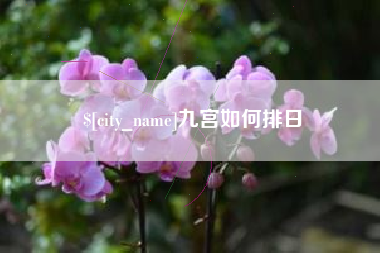 怒江九宫如何排日