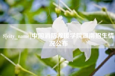 怒江中国消防救援学院湖南招生情况公布