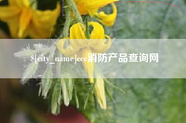 怒江ccc消防产品查询网