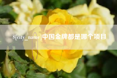怒江中国金牌都是哪个项目