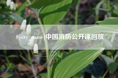 怒江中国消防公开课回放