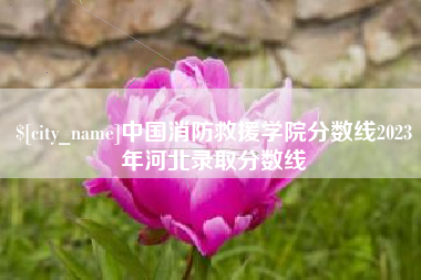 怒江中国消防救援学院分数线2023年河北录取分数线