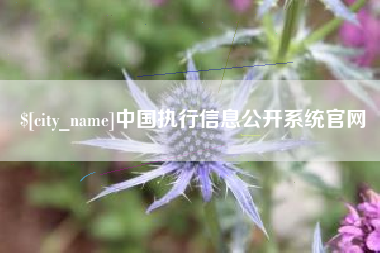 怒江中国执行信息公开系统官网