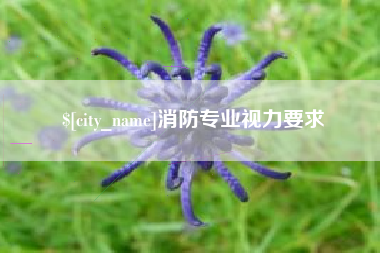 怒江消防专业视力要求