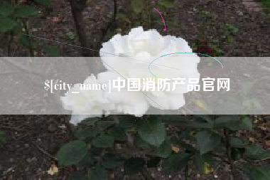 怒江中国消防产品官网