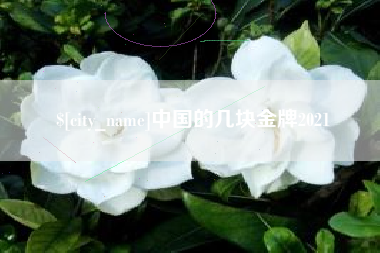 怒江中国的几块金牌2021