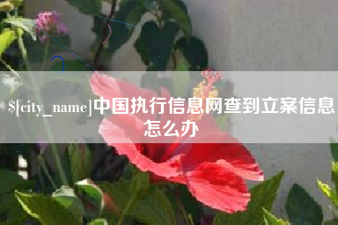 怒江中国执行信息网查到立案信息怎么办