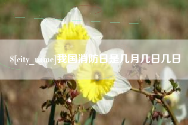 怒江我国消防日是几月几日几日