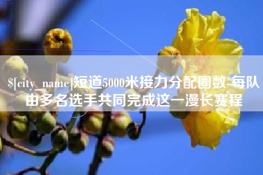 怒江短道5000米接力分配圈数-每队由多名选手共同完成这一漫长赛程