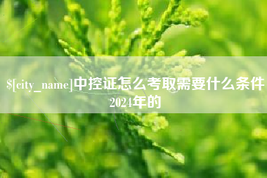 怒江中控证怎么考取需要什么条件2024年的