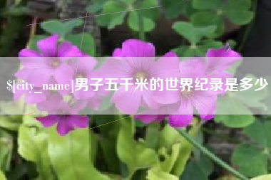 怒江男子五千米的世界纪录是多少