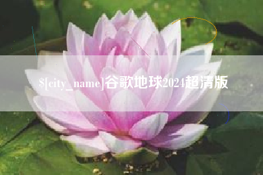 怒江谷歌地球2024超清版