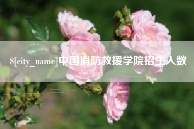 怒江中国消防救援学院招生人数