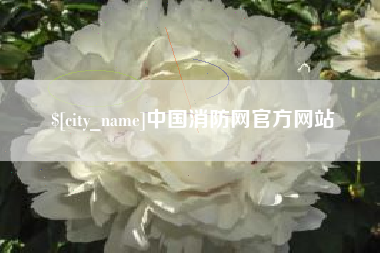 怒江中国消防网官方网站