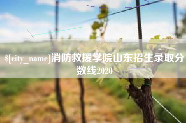 怒江消防救援学院山东招生录取分数线2020
