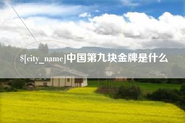 怒江中国第九块金牌是什么