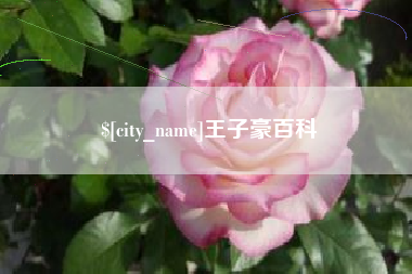 怒江王子豪百科