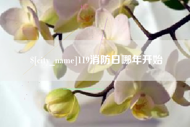 怒江119消防日哪年开始