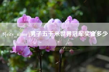 怒江男子五千米世界冠军奖金多少