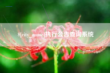 怒江执行公告查询系统