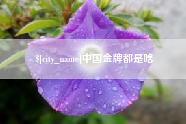 怒江中国金牌都是啥