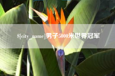 怒江男子5000米世界冠军
